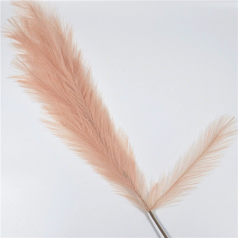 Window Decoration Long Pampas Natural Simulation