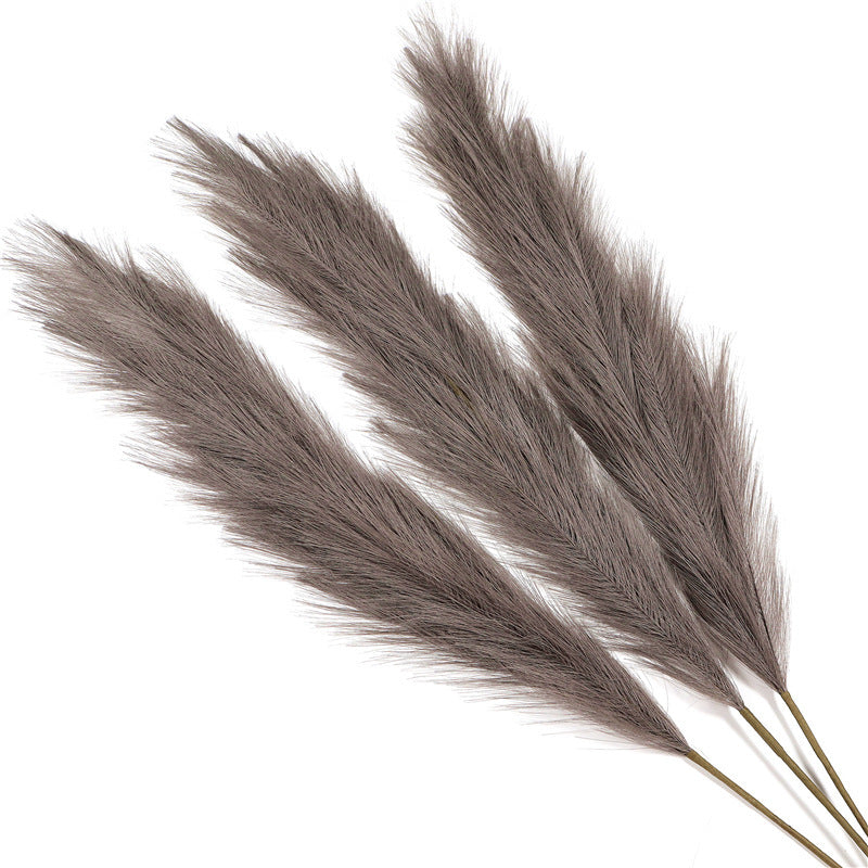 Window Decoration Long Pampas Natural Simulation