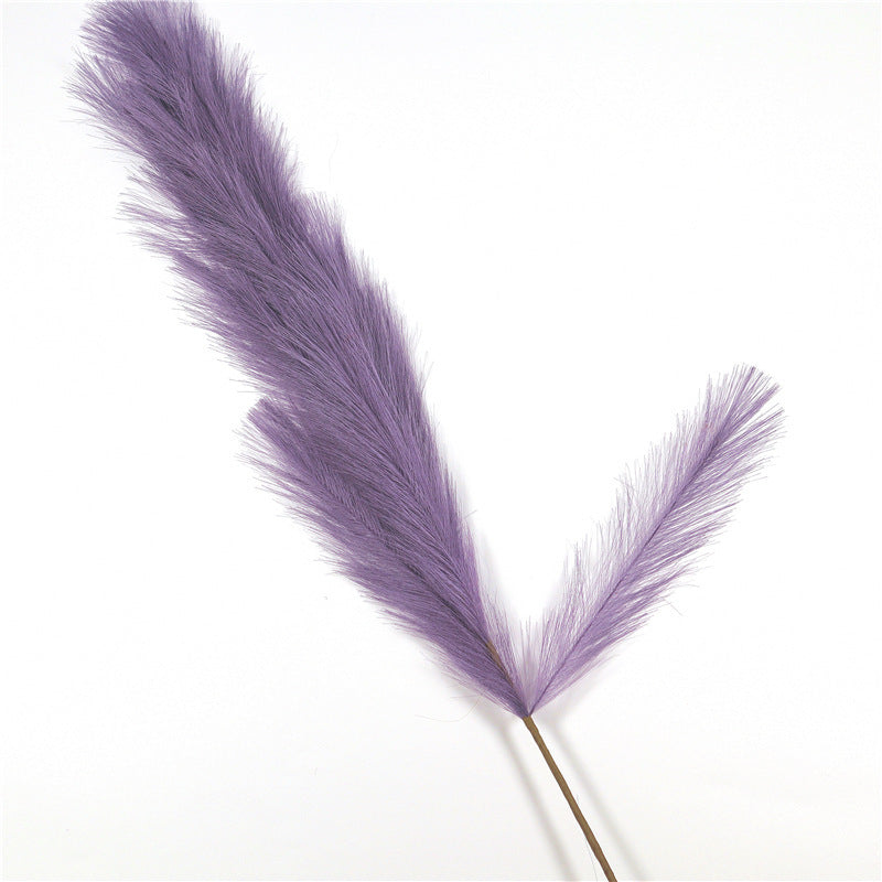 Window Decoration Long Pampas Natural Simulation