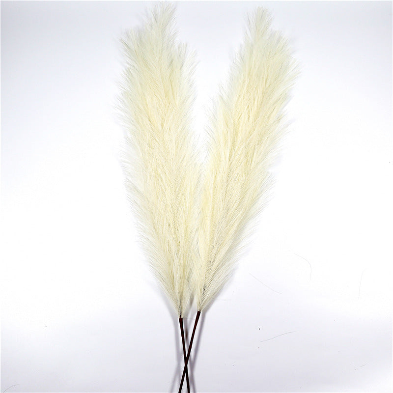 Window Decoration Long Pampas Natural Simulation