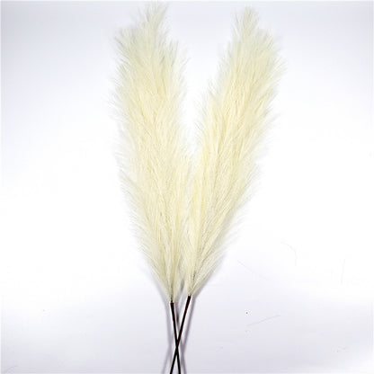 Window Decoration Long Pampas Natural Simulation