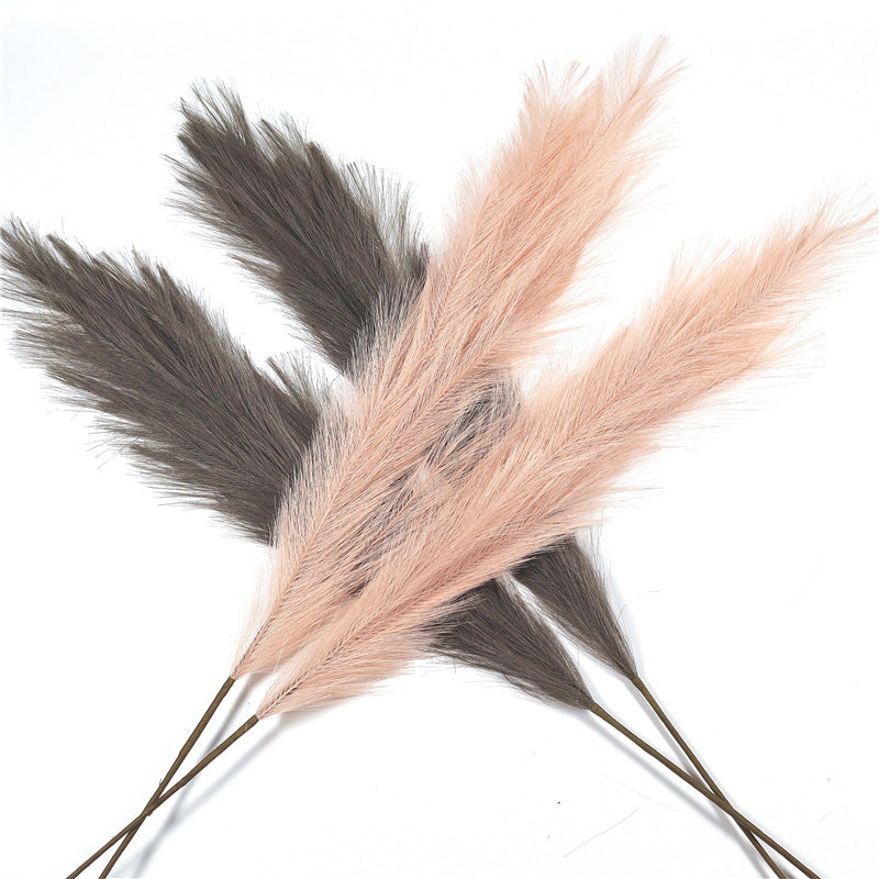 Window Decoration Long Pampas Natural Simulation