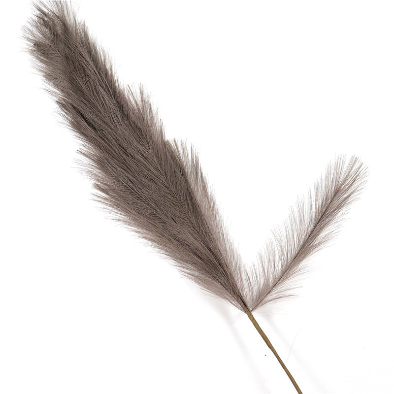 Window Decoration Long Pampas Natural Simulation